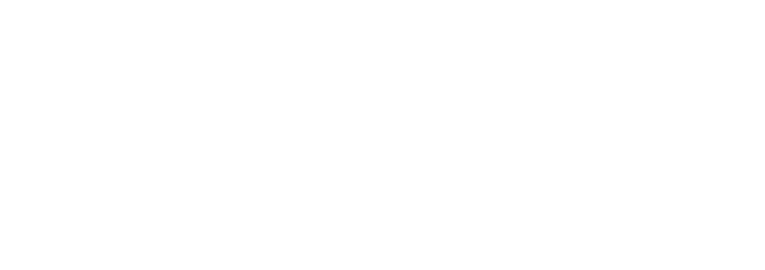 BigCart Footer Logo